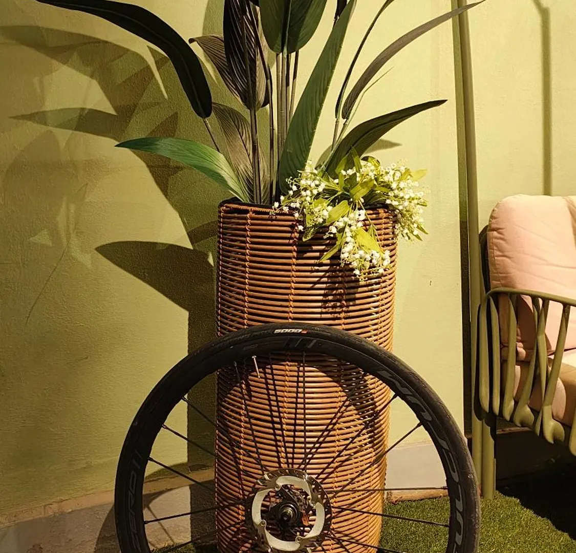 Hotel Bernardino Lucca
